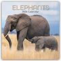 The Gifted: Elephants - Elefanten 2026 - 16-Monatskalender, KAL