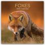 The Gifted: Foxes - Füchse 2026 - 16-Monatskalender, KAL
