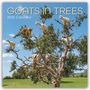 Gifted Stationery Co. Ltd: Goats in Trees - Ziegen auf Bäumen 2026 - 16-Monatskalender, KAL
