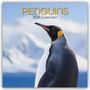 Gifted Stationery Co. Ltd: Penguins - Pinguine 2026 - 16-Monatskalender, KAL