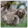 Gifted Stationery Co. Ltd: Sloths - Faultiere 2026 - 16-Monatskalender, KAL