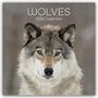 Gifted Stationery Co. Ltd: Wolves - Wölfe 2026 - 16-Monatskalender, KAL
