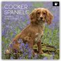 Gifted Stationery Co. Ltd: Cocker Spaniels 2026 - 16-Monatskalender, KAL