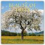 Gifted Stationery Co. Ltd: Beauty of Trees - Die Schönheit der Bäume 2026 - 16-Monatskalender, KAL
