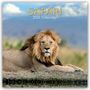 The Gifted: Safari 2026 - 16-Monatskalender, KAL