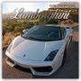 The Gifted: Lamborghini 2026 - 16-Monatskalender, KAL