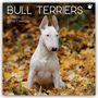 Gifted Stationery Co. Ltd: Bull Terrier 2026 - 16-Monatskalender, KAL
