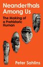 Peter Sahlins: Neanderthals Among Us, Buch