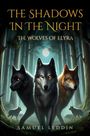 Samuel Leddin: The Shadows In The Night, Buch