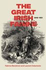 "The Great Irish Famine 1846-1851" in roten Lettern. Illustration: Menschen in Not neben einem umgestürzten Wagen.