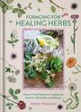 Adele Nozedar: Foraging for Healing Herbs, Buch