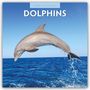 Text: "2027 Calendar DOLPHINS". Ein springender Delfin über dem Meer unter klarem, blauem Himmel.