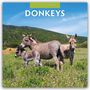 Text: "2027 Calendar DONKEYS". Eine Landschaft mit drei Eseln auf einer Wiese, umgeben von Hügeln und blauem Himmel.
