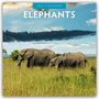 "2027 CALENDAR" und "ELEPHANTS" oben. Darunter Elefantenherde auf weiter, grüner Savanne, blauer Himmel mit Wolken.
