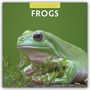 Oben steht "2027 Calendar". Darunter "Frogs". Ein bunt gestreifter Frosch sitzt auf einem grünen Blatt.