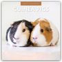 "2027 Calendar", "Guinea Pigs". Zwei Meerschweinchen, eines schwarz-weiß, das andere braun-weiß, eng beieinander.