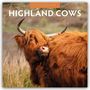 Text: "2027 Calendar", "Highland Cows". Braune, zottelige Kuh mit großen Hörnern schaut nach hinten.