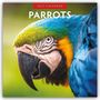 Text "2027 Calendar" und "Parrots". Ein bunter Papagei mit roten, gelben und blauen Federn auf einem Ast.
