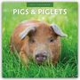 Text: "2027 Calendar – Pigs & Piglets". Ein Ferkel liegt im grünen Gras und schaut neugierig in die Kamera.