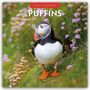 „2027 Calendar PUFFINS“ steht im Bild. Ein Papageientaucher steht auf einer Wiese mit rosa Blüten.