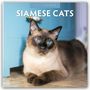Text: "2027 Calendar" und "Siamese Cats". Eine Siamkatze mit blauen Augen liegt vor einem blauen Schrank.