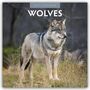 Text: "2027 Calendar", "Wolves". Ein Wolf steht in einer natürlichen Umgebung mit Gras und unscharfem Hintergrund.