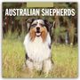 Robin Red: Australian Shepherds - Australian Shepherd 2027 - 16-Monatskalender, KAL