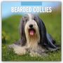 Robin Red: Bearded Collies - Bearded Collie 2027 - 16-Monatskalender, KAL