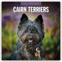 Robin Red: Cairn Terriers - Cairn Terrier 2027 - 16-Monatskalender, KAL