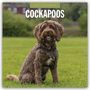 Robin Red: Cockapoos - Cockapoo 2027 - 16-Monatskalender, KAL