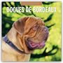 Text: "2027 CALENDAR", "DOGUES DE BORDEAUX". Ein großer, brauner Hund mit faltigem Gesicht vor grüner Naturkulisse.
