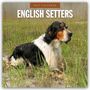 Robin Red: English Setters - Englisch Setter 2027 - 16-Monatskalender, KAL