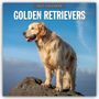 Robin Red: Golden Retrievers - Golden Retriever 2027 - 16-Monatskalender, KAL