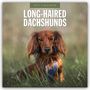 Robin Red: Long-Haired Dachshunds - Langhaardackel 2027 - 16-Monatskalender, KAL