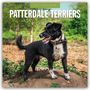 „2027 Calendar: Patterdale Terriers.“ Ein schwarzer Terrier steht auf einem Hügel mit grünem Hintergrund.