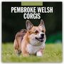 Text: "2027 Calendar. Pembroke Welsh Corgis." Ein fröhlicher Corgi läuft über eine Wiese.