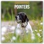 „2027 Calendar Pointers.“ Ein Hund blickt aufmerksam im Grünen, umgeben von verschwommenen Blumen.