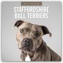 Text: "2027 Calendar, Staffordshire Bull Terriers". Ein freundlicher Staffordshire Bull Terrier vor grauem Hintergrund.