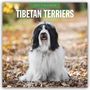 Text: "2027 Calendar" und "Tibetan Terriers". Ein langhaariger, schwarz-weißer Hund sitzt auf Laub im Freien.
