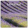 Text: "2027 Calendar" und "LAVENDER". 
Eine Fotografie mit Lavendelfeldern in voller Blüte.