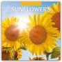 Oben steht "2027 Calendar", darunter "Sunflowers". Strahlende Sonnenblumen im Sonnenlicht vor blauem Himmel.