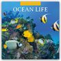 „2027 CALENDAR“ und „OCEAN LIFE“. Bunte Fische schwimmen um ein Korallenriff. Farbenfroh und lebendig.