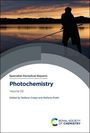 „Specialist Periodical Reports: Photochemistry, Volume 53, Edited by Stefano Crespi and Stefano Protti.“<br>Angler vor Sonnenuntergang.