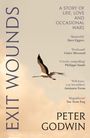 Peter Godwin: Exit Wounds, Buch