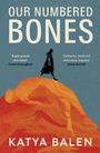 „OUR NUMBERED BONES“ steht oben, darunter Lob von Emma Donoghue und Jessie Burton. Silhouette auf orangenem Berg.