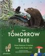 Danio Miserocchi: The Tomorrow Tree, Buch