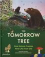 Maciej Michno: The Tomorrow Tree, Buch
