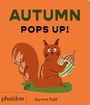 Aurore Petit: Autumn Pops Up!, Buch