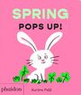 „SPRING POPS UP!“ Oben in Grün und Schwarz. Darunter ein lächelnder weißer Hase mit Kleeblättern auf rosa Hintergrund.