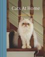 „Cats At Home“, „PHOTOGRAPHED BY RACHAEL SMITH“. Eine flauschige, cremefarbene Katze sitzt auf einer Treppe.